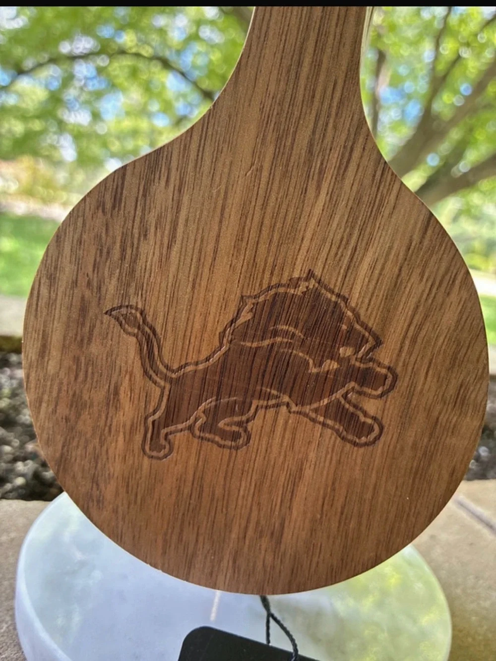 NFL Detroit Lions coaster set